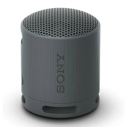 Altavoz Sony SRS-XB100 Black