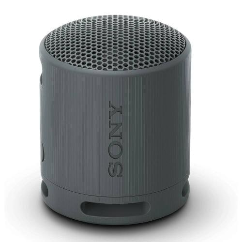 Altavoz Sony SRS-XB100 Black