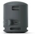 Altavoz Sony SRS-XB100 Black