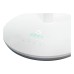 Ventilador de pie S&P ARTIC WIND 300 DC